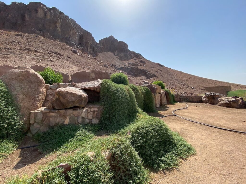 حديقة جبل احد المدينة المنورة