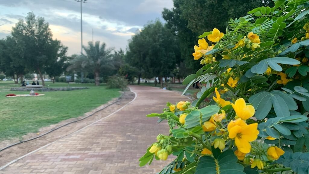 حديقة الملك فهد المدينة المنورة