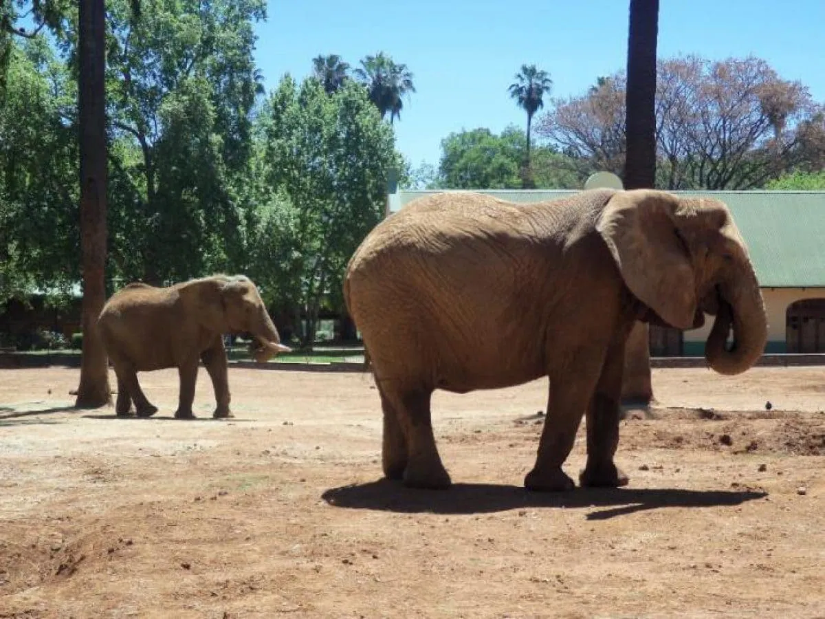حديقة الحمراء للحيوانات